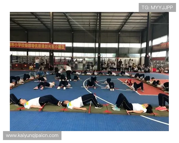 开云体育pin芯在体育数据传输中的安全性与稳定性保障措施