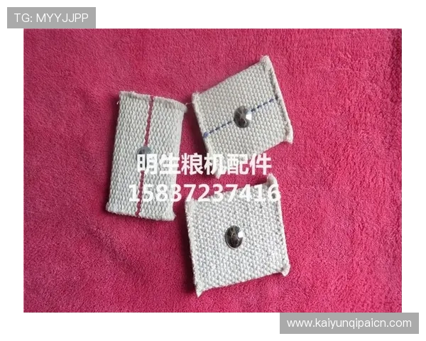 亚博棋牌官网游戏规则详解,帮助玩家理解玩法赢得胜利 亚博棋牌官网游戏规则详解,帮助玩家理解玩法赢得胜利